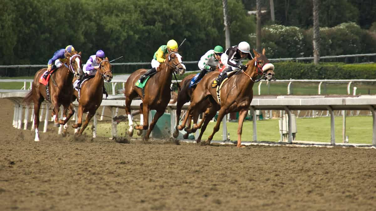 American Pharoah Stakes Odds: Wine Me Up Gets the Chance to Shine on Saturday