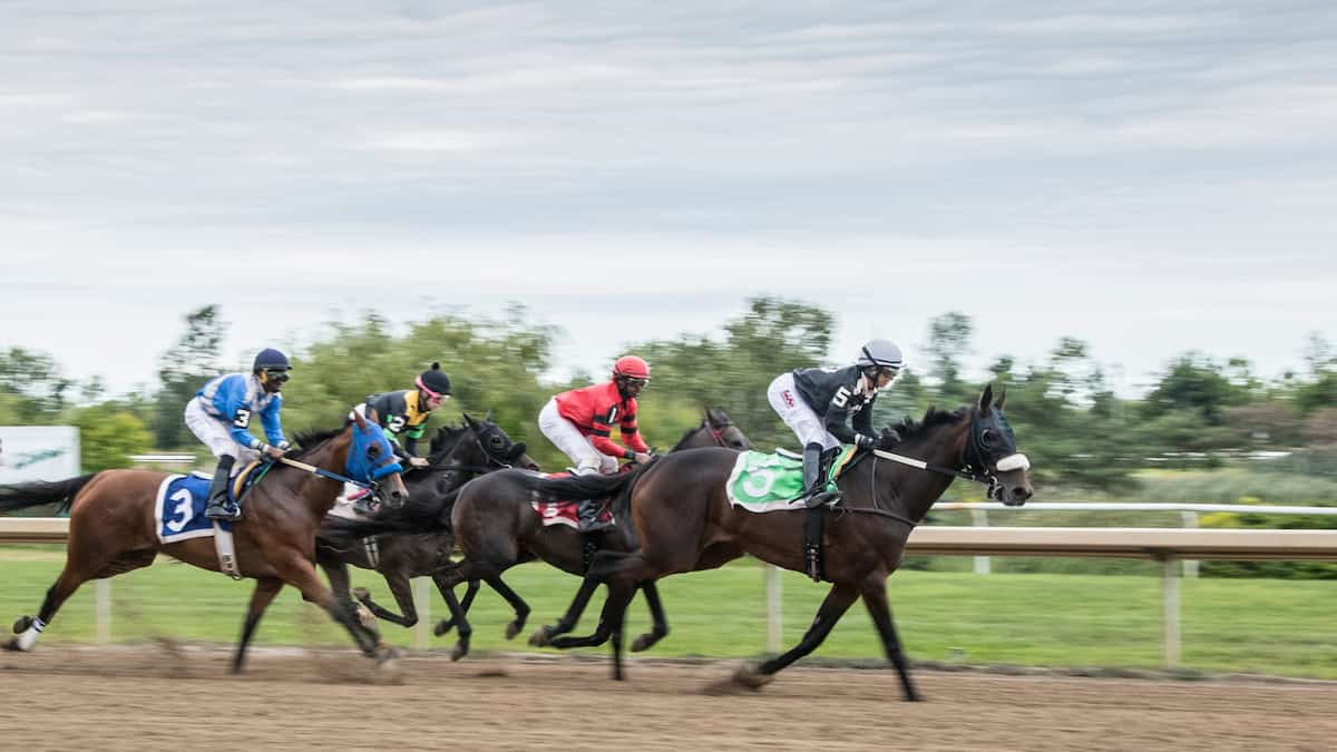 Prince of Wales Stakes Predictions: The Middle Leg of the Canadian Triple Crown