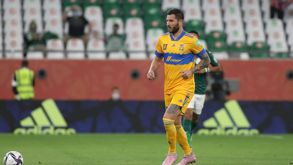 Tigres UANL vs Santos Laguna: Both Have Started the Apertura Season Well