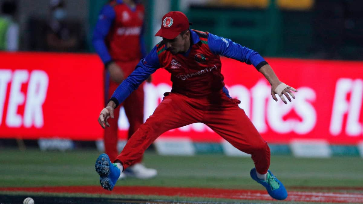 Ireland vs Afghanistan: Both Teams Have Contrasting Results in Their Respective Last Five Games