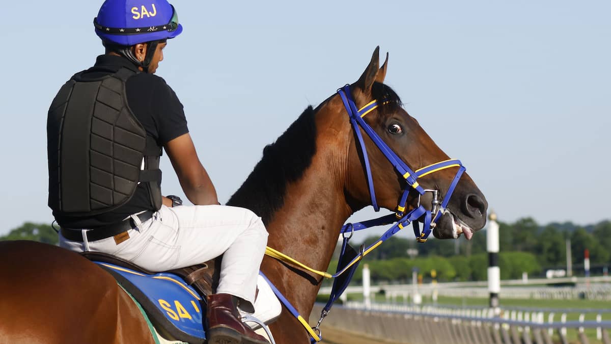 West Virginia Derby: Skippylongstocking Will Be Ready to Run Well at Some Decent Odds