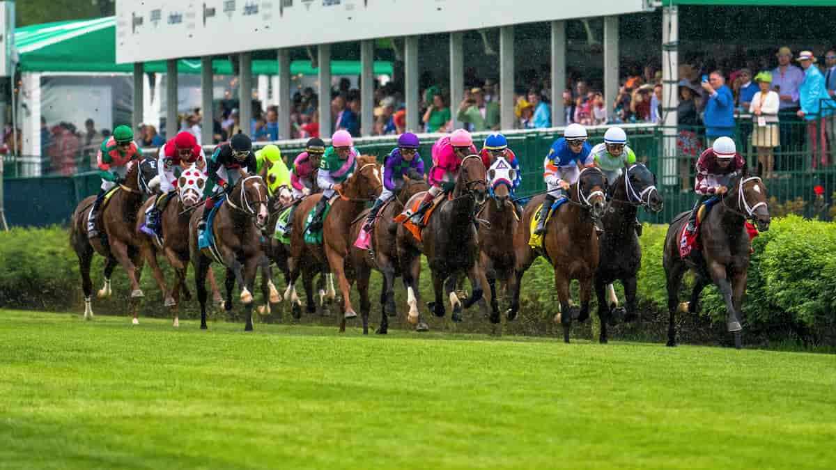 Birdstone Stakes: Lone Rock the Defending Champion Has a Lot to Like as He Returns to Saratoga