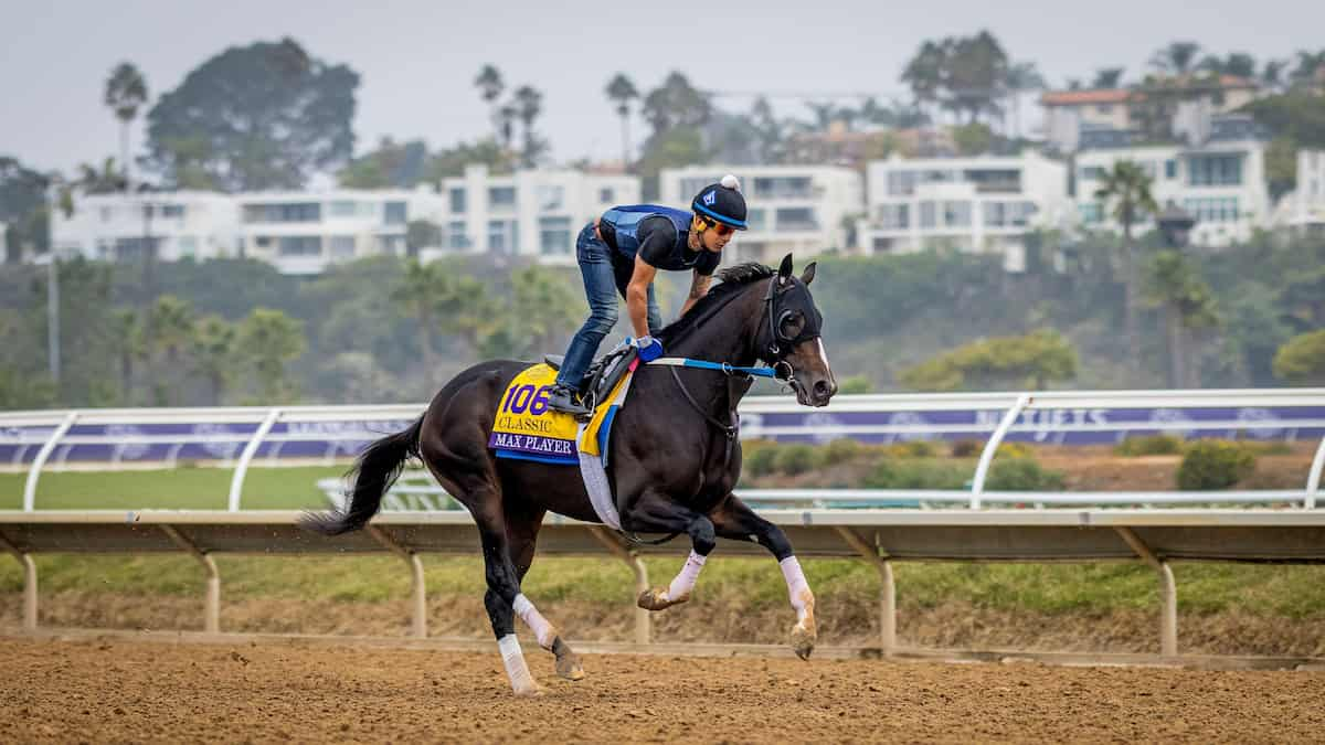 Brooklyn Stakes Contenders, Predictions, Best Bets (Belmont Park)