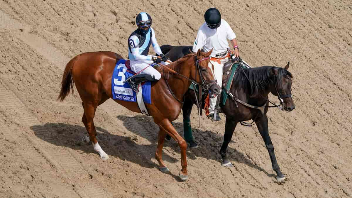 Pennine Ridge Stakes, Picks, Best Bets (Belmont Park)