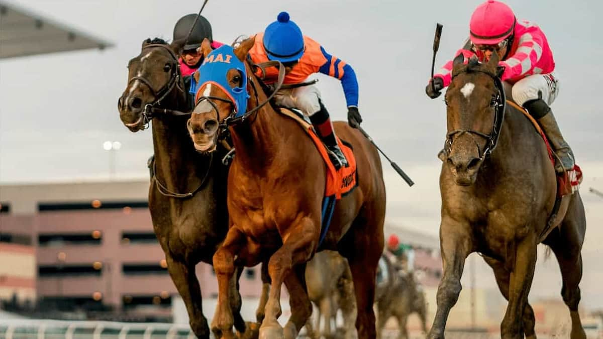 Penn Mile Odds: Behind Enemy Lines Has a Big Shot Here