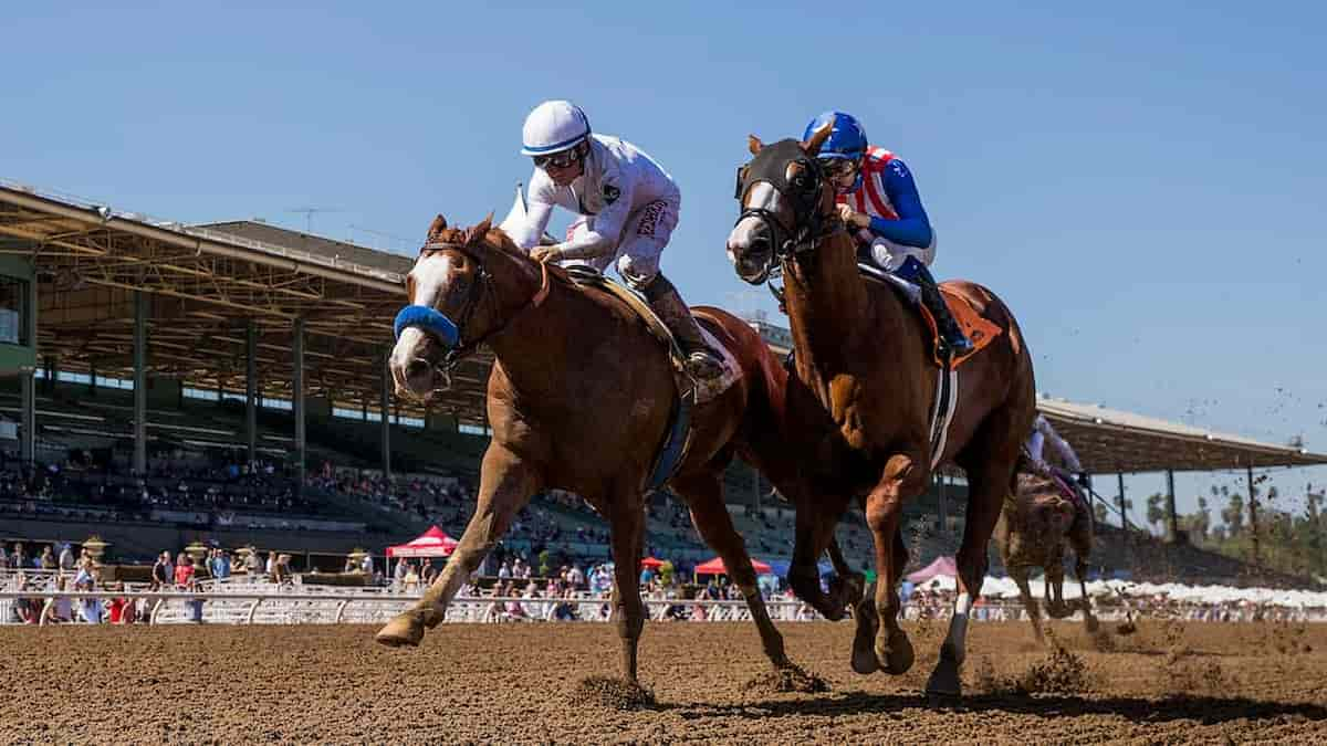 Hollywood Gold Cup Predictions, Picks Betting Odds (Santa Anita Park)