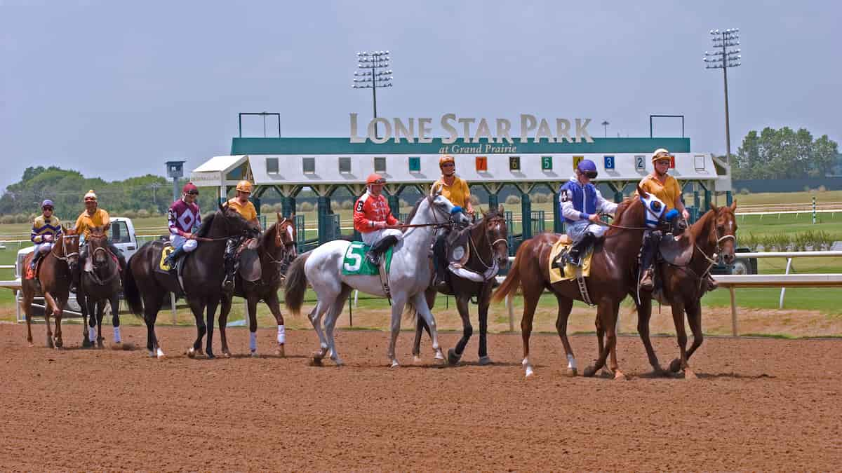 Steve Sexton Mile Predictions, Picks, Odds (Lone Star Park)