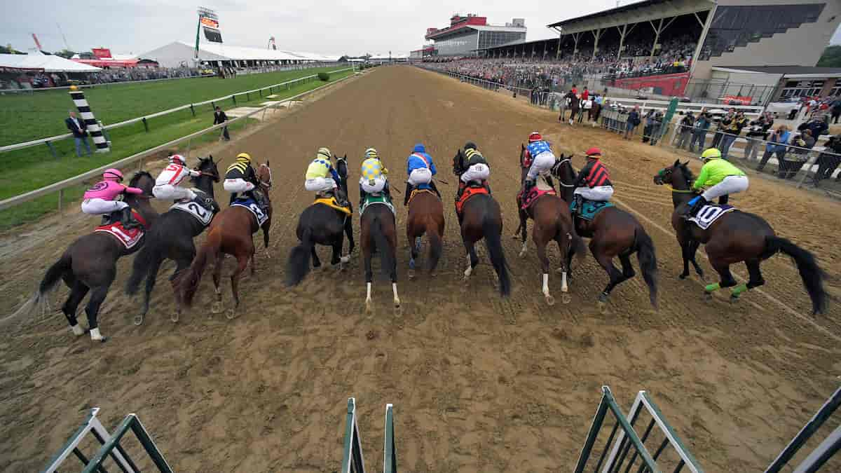 Dinner Party Stakes Predictions, Picks, Odds (Pimlico)