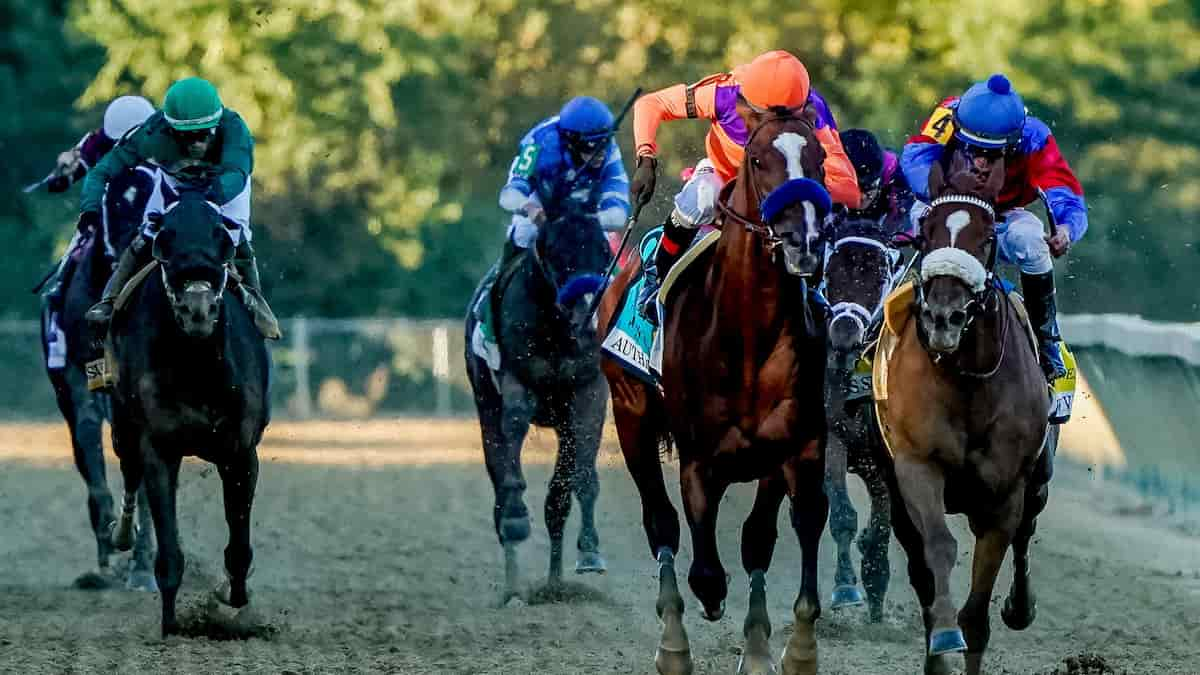 Black-Eyed Susan Stakes Predictions, Picks, Odds (Pimlico) 