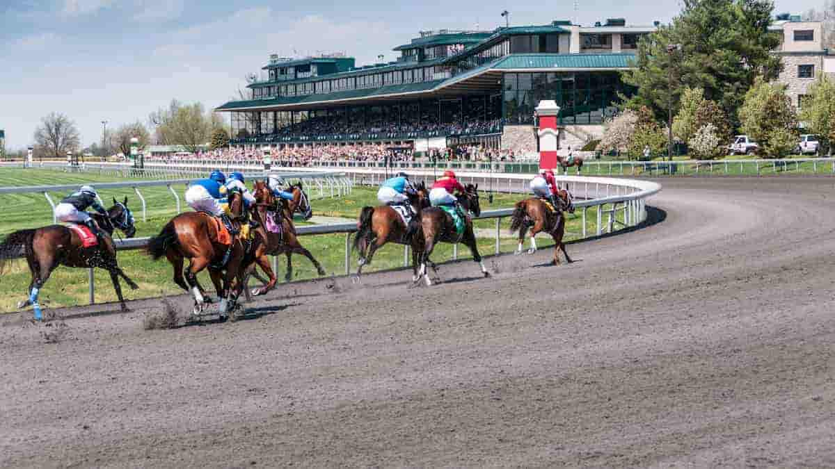 Ben Ali Stakes Predictions: Skippylongstocking Tops a Field of Seven Older Males