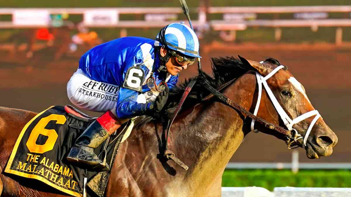 Doubledogdare Stakes Predictions, Odds, Picks (Keeneland)