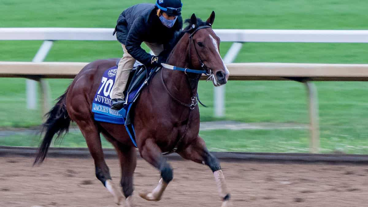 Count Fleet Sprint Predictions, Odds, Picks (Oaklawn Park)