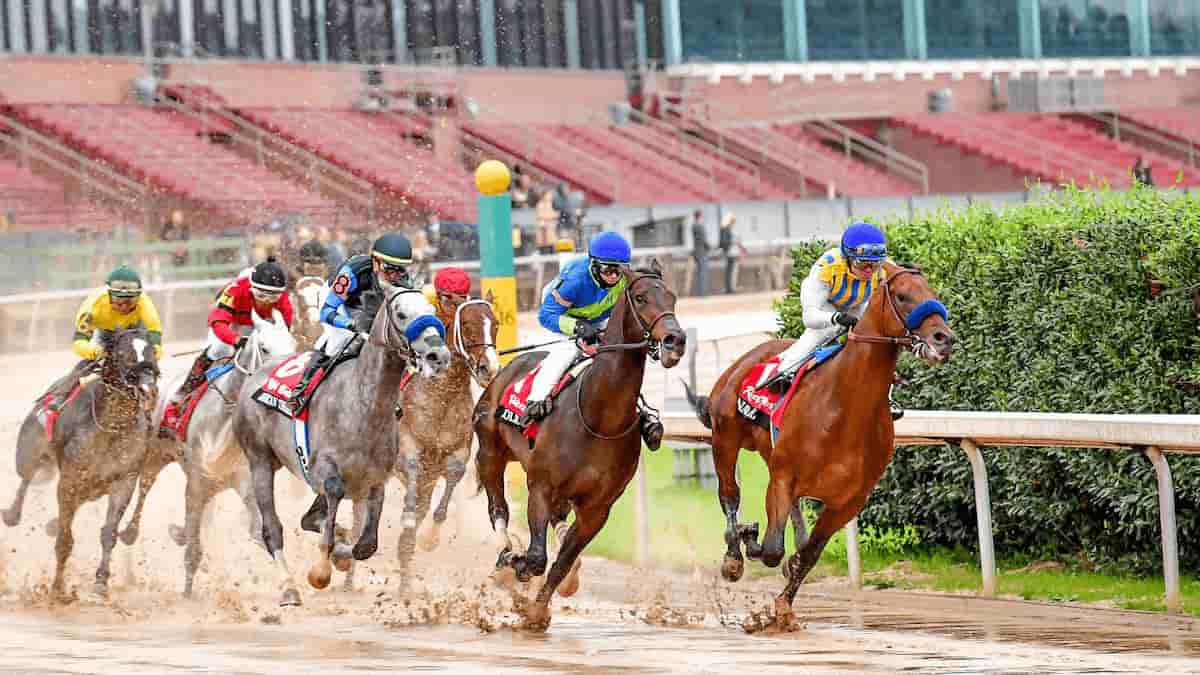 Best Horse Racing Picks This Weekend Gulfstream & Oaklawn Park