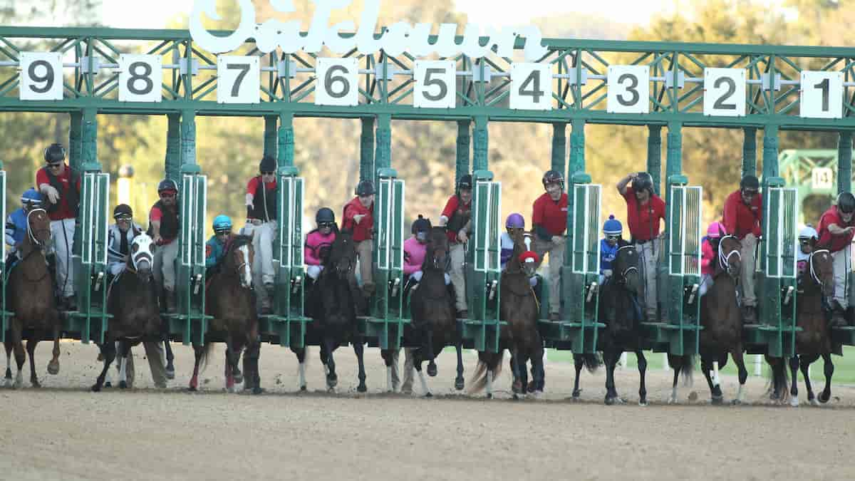 Razorback Handicap Predictions, Odds, Picks (Oaklawn Park)