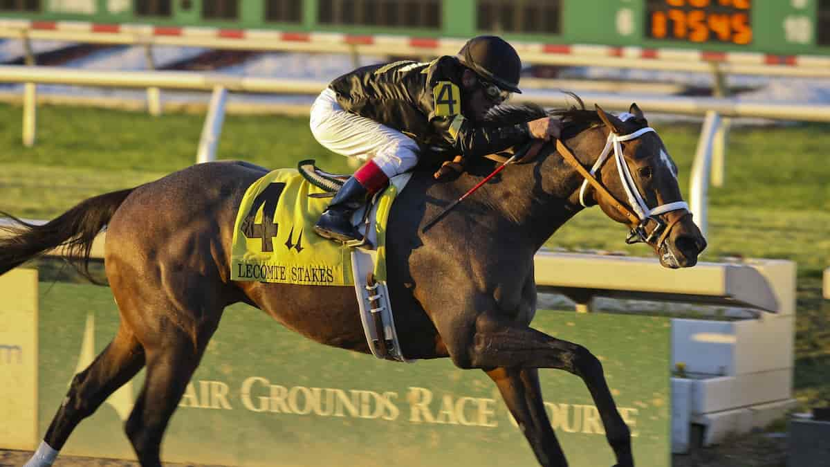 Best Horse Racing Picks This Weekend: Fair Grounds