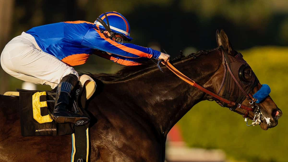 Santa Ynez Stakes (Santa Anita Park) Predictions: Justique Has Quickly Become a Fan Favorite