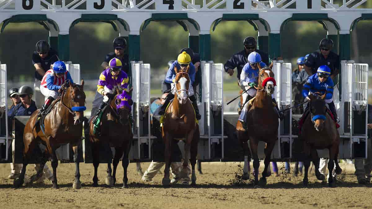 Best Horse Racing Picks This Weekend: Kentucky Derby Trail 