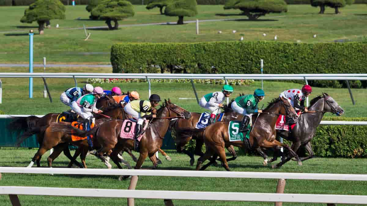 Best Horse Racing Picks This Weekend Gulfstream & Remington Park