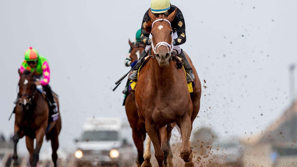 Hollywood Turf Cup Predictions, Betting Odds, Top Picks (Del Mar)