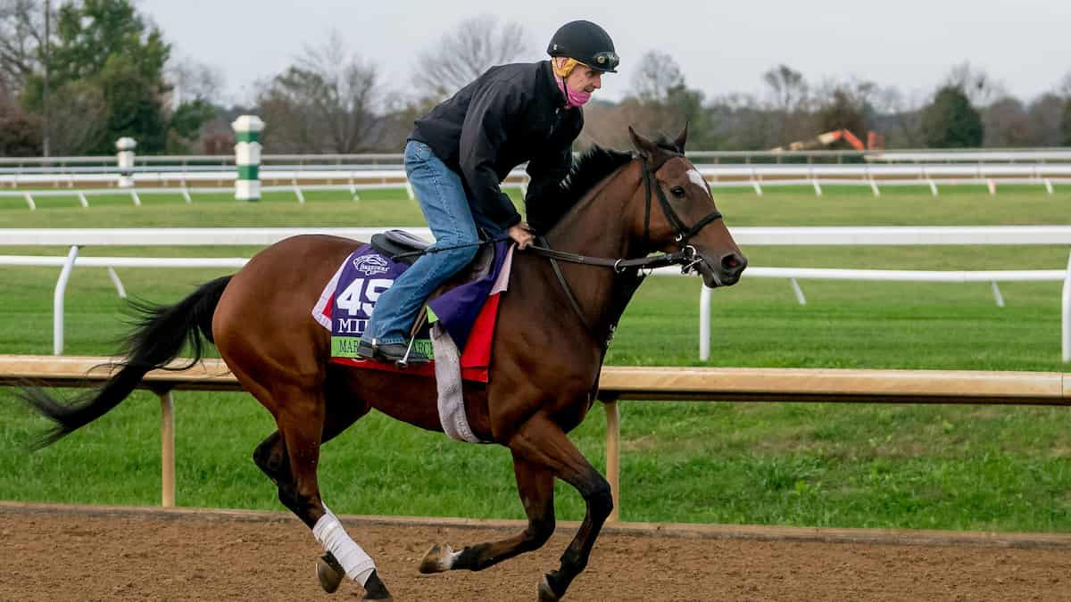 Artie Schiller Stakes Predictions, Top Picks, Betting Odds (Aqueduct)