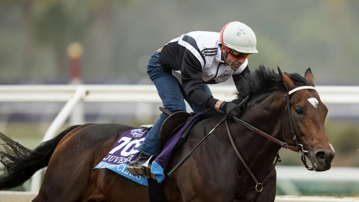 Breeders’ Cup Juvenile Predictions, Top Picks, Odds (Del Mar)