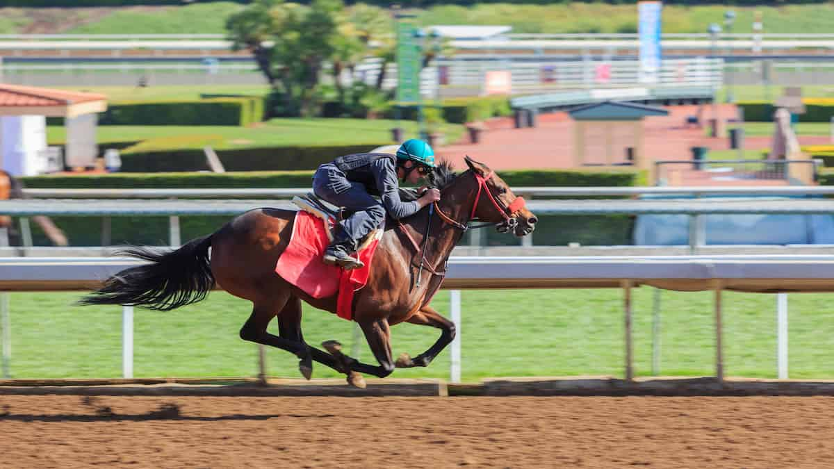 Best Horse Racing Picks this Weekend: Keeneland, Belmont & Santa Anita