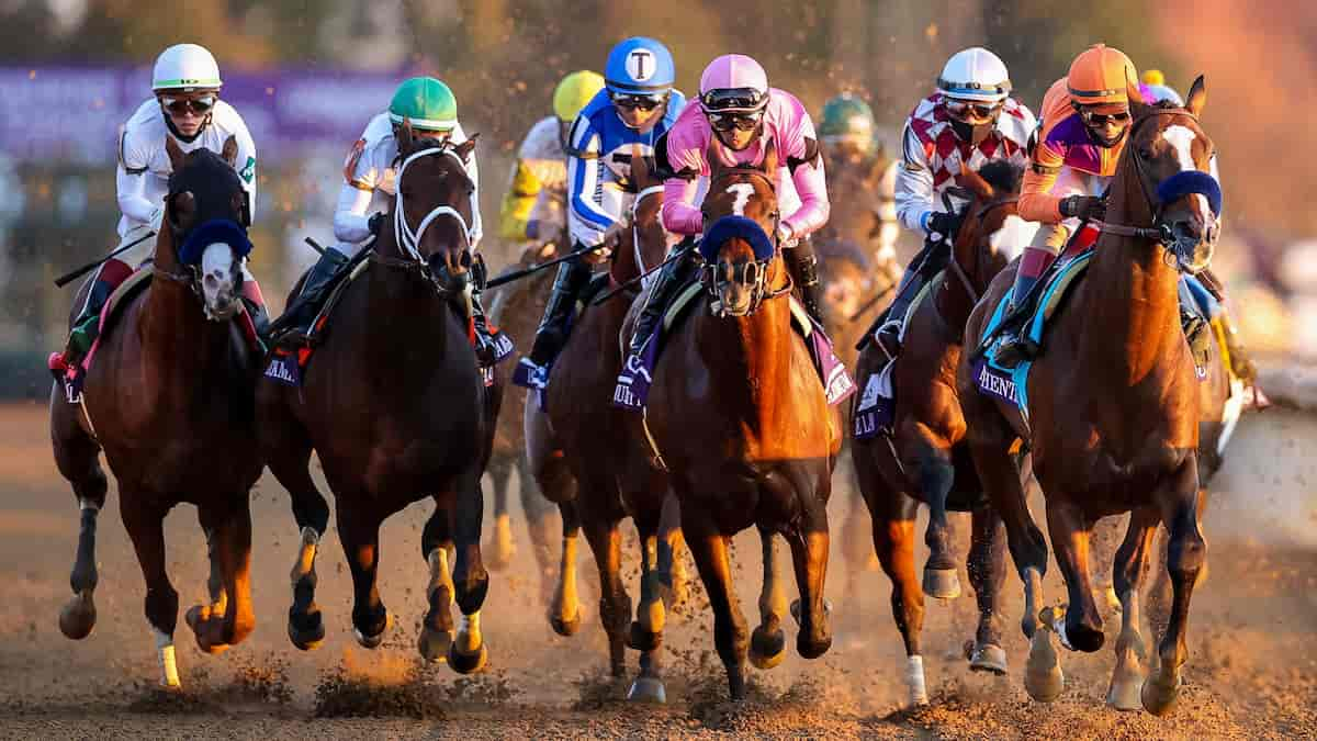 Valley View Stakes Predictions, Top Picks, Odds (Keeneland)