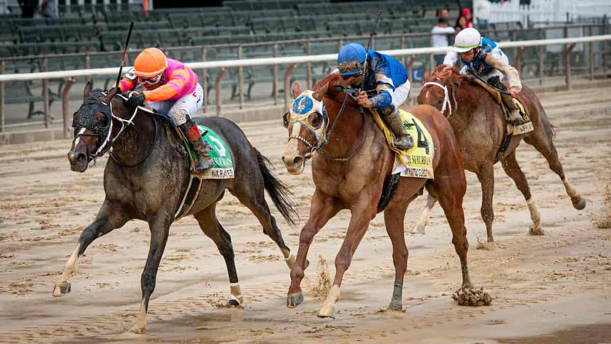 Noble Damsel Stakes Predictions, Top Picks, Odds