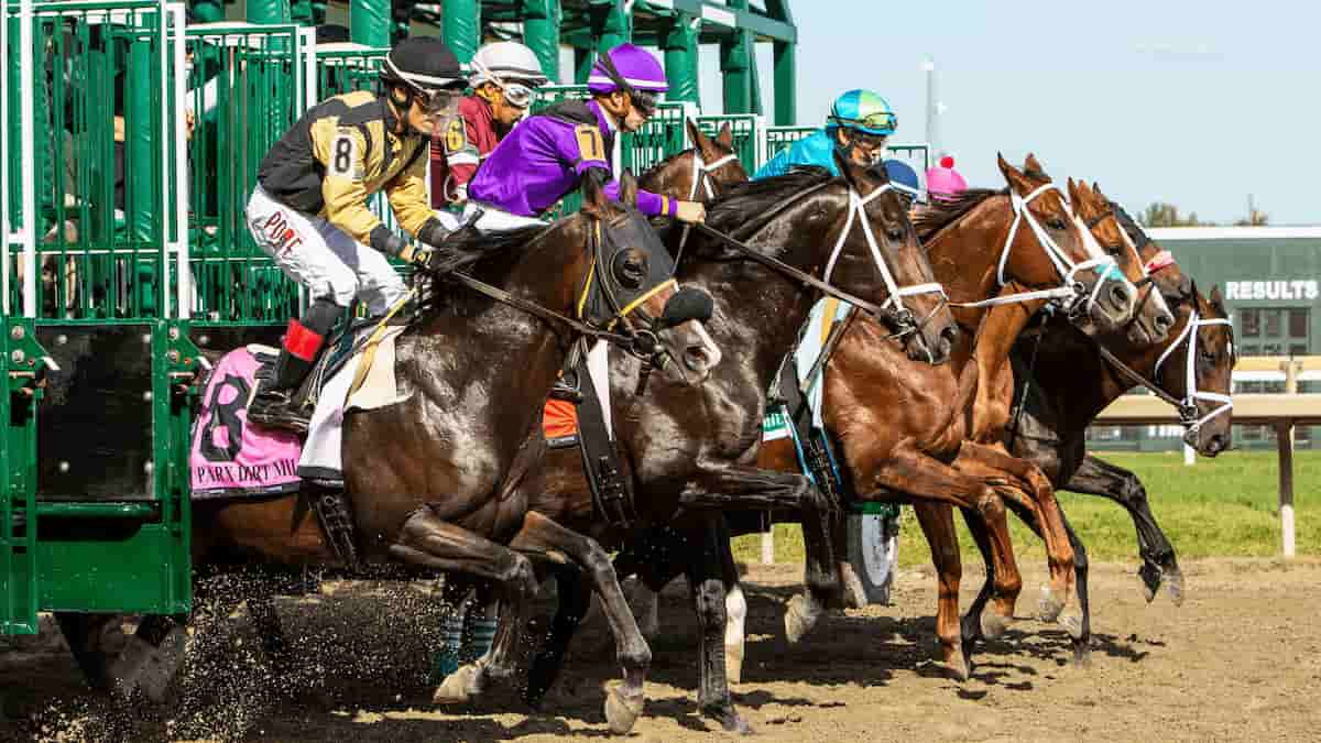 Breeders' Cup Juvenile Top 10 Contenders Odds 2021