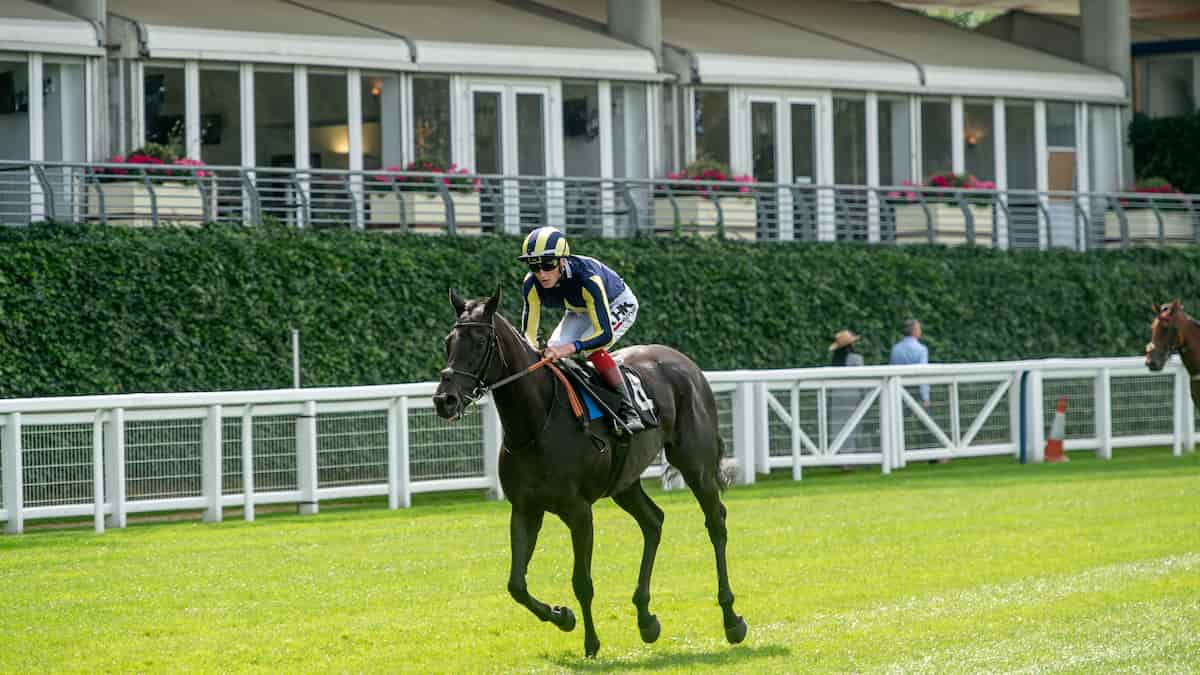 E.P. Taylor Stakes (Woodbine) Predictions, Top Picks, Odds