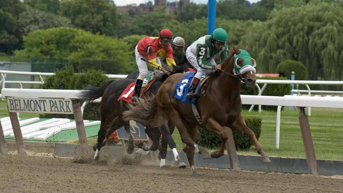 Joe Hirsch Turf Classic Belmont Park Predictions, Betting Odds, Picks