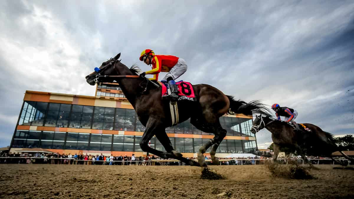 Best Horse Racing Picks This Weekend: Parx Racing