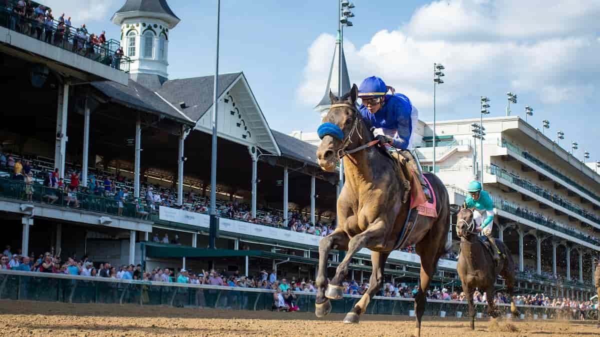 Best Horse Racing Picks This Weekend: Belmont, Churchill Downs & Woodbine