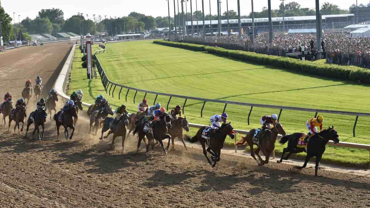 Best Horse Racing Picks This Weekend: Kentucky Downs & Woodbine