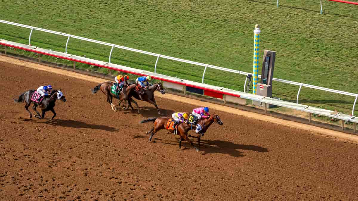 Best Horse Racing Picks This Weekend: Saratoga & Del Mar