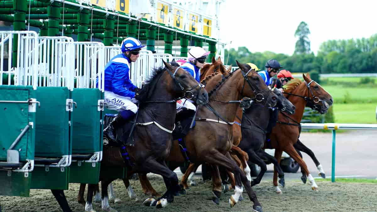 Best Horse Racing Picks This Weekend: Saratoga