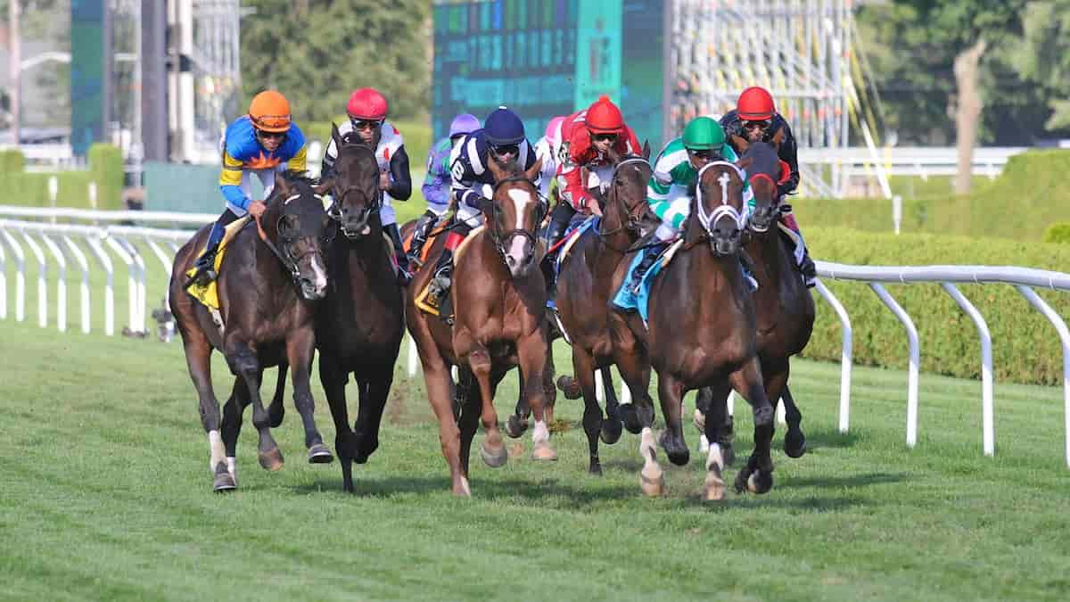 Sword Dancer Predictions, Expert Picks, Odds (Saratoga)