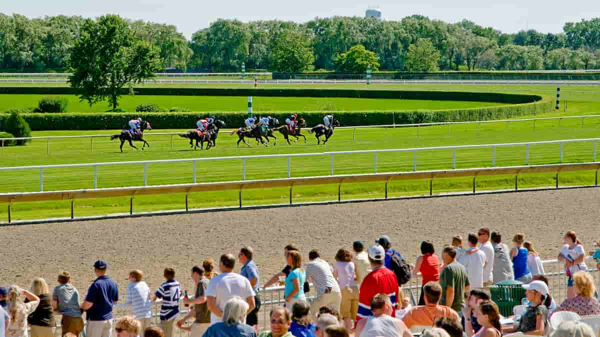  Mister D. Stakes Predictions, Odds & Picks (Arlington Park)