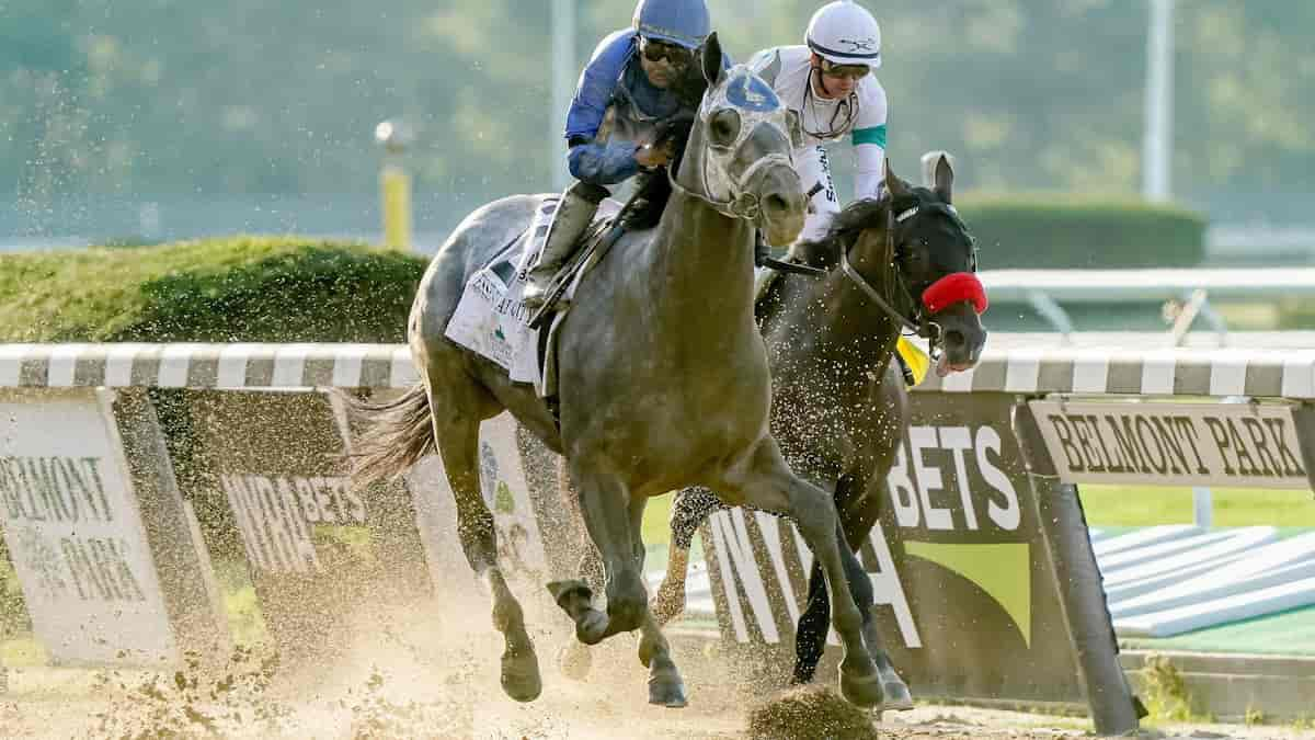 Belmont Oaks Predictions, Picks, Betting Odds (Belmont Park)