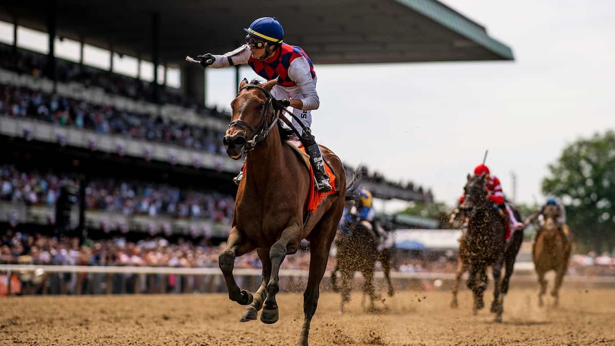 Acorn Stakes (Belmont Park) Predictions & Betting Odds