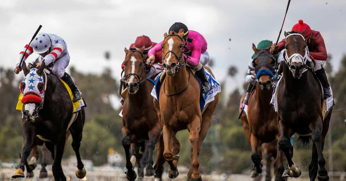 Beholder Mile (Santa Anita Park) Predictions, Odds & Picks