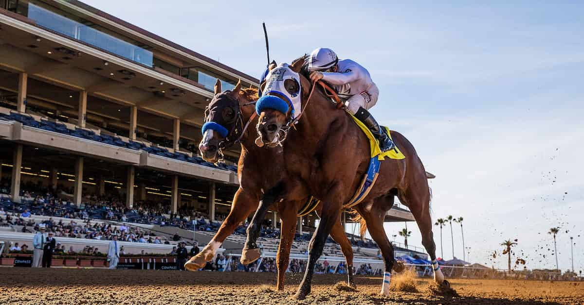 Del Mar Picks, Tips and Handicapping