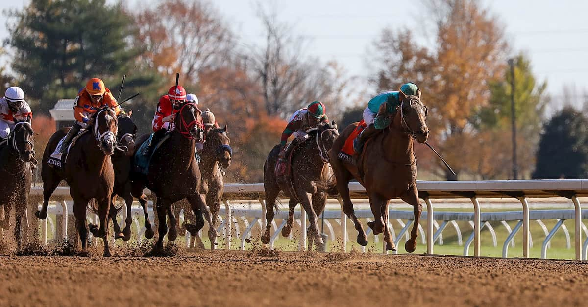 Hollywood Derby (Del Mar) Predictions, Odds & Picks