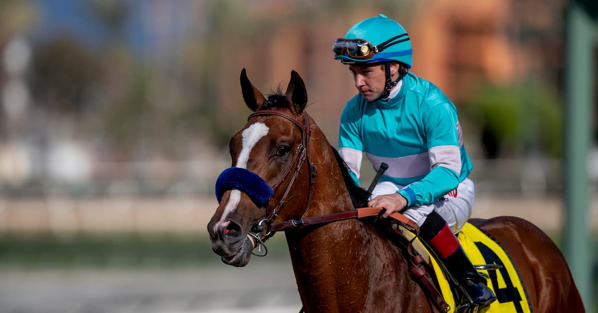 2020 Desert Stormer Stakes (Santa Anita Park) - Predictions & Betting Odds