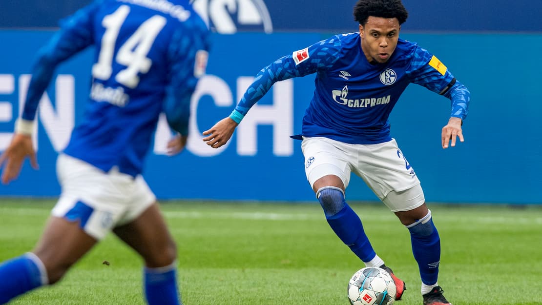 Weston McKennie Schalke