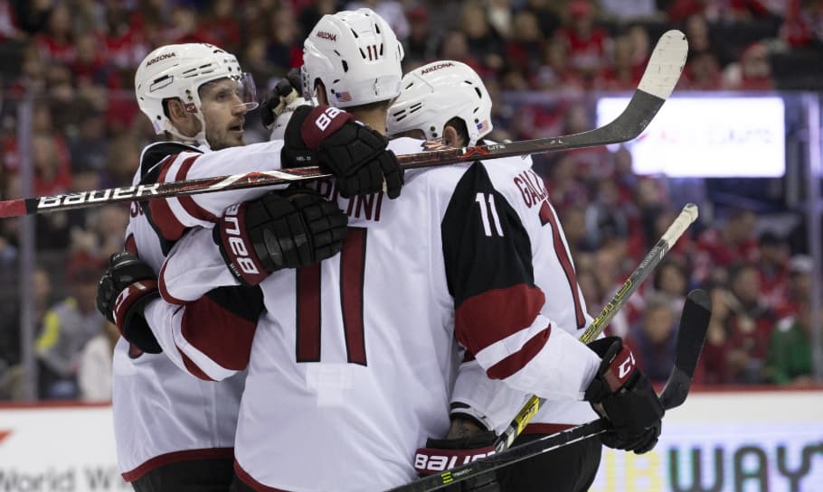 Arizona Coyotes 2020 Season Preview: Odds and Predictions