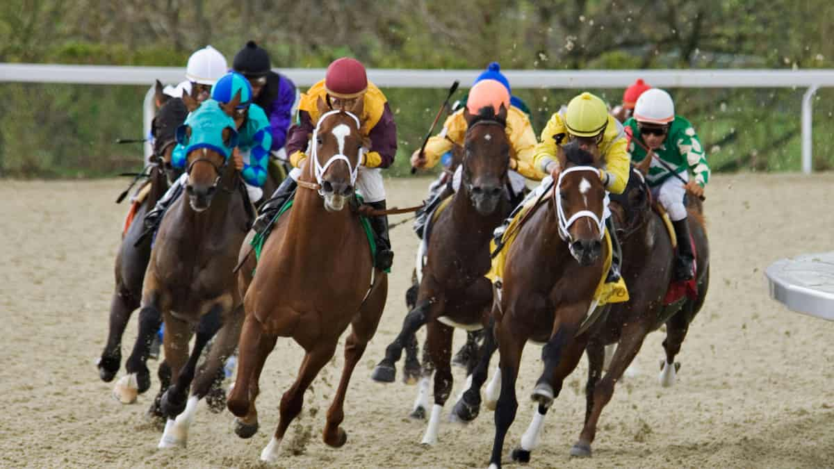 Raven Run Stakes (Keeneland) Predictions, Betting Odds, and Picks