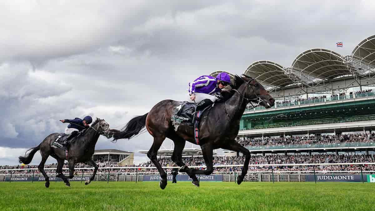 Breeders’ Cup Filly & Mare Sprint: Obligatory Should Offer Solid Value in a Race