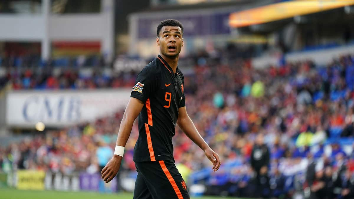 World Cup 2022 Best Parlay Picks, November 25