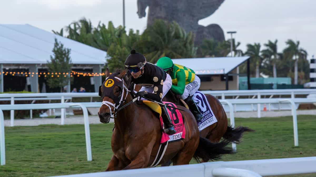 Pulpit Stakes (Gulfstream Park): Todd Pletcher Wields a Powerful Pair